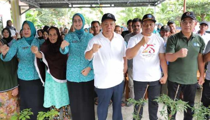 Luncurkan Program GENCAR, Gubernur Babel Bagikan 150 Ribu Tanaman Cabai ke Warga