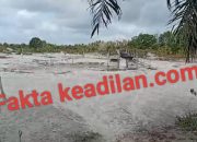 Ratusan TI Sebu Hajar lokasi IUP PT.Timah diHutan HP Deniang !