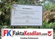 POLEMIK TAMBANG DI HGU PT THEP MERAWANG MEMANAS, MASYARAKAT DESAK RDP DPRD BANGKA.