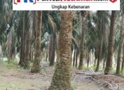 PT Timah Gandeng 8 CV Garap THEP Merawang, Virdy Nandy Tekankan Pentingnya Akomodasi Aspirasi Warga 