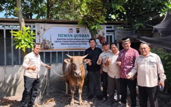 FPK Babel Gelar Pemotongan Hewan Kurban, Terima Bantuan Sapi dari Polda Babel