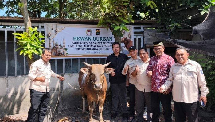 FPK Babel Gelar Pemotongan Hewan Kurban, Terima Bantuan Sapi dari Polda Babel