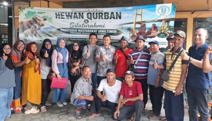 Pamasjatim Babel Gelar Kurban dan Silaturahmi, BNI Pangkalpinang Serahkan Sapi Kurban