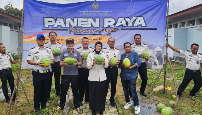 Khasiat Kompos Organik Lapas Pangkalpinang Terbukti, Panen Semangka Capai 231 Kilogram