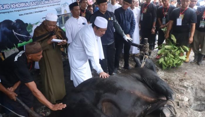 Wali Kota Pangkalpinang Apresiasi Bantuan Sapi Kurban Presiden Prabowo untuk Warga Ketapang