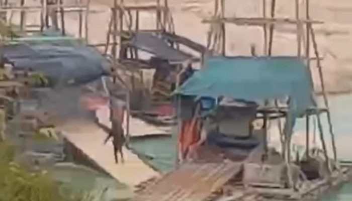 Tambang Timah Diduga Beroperasi di Hutan Lindung Desa Nadi, Publik Pertanyakan Ketegasan Aparat